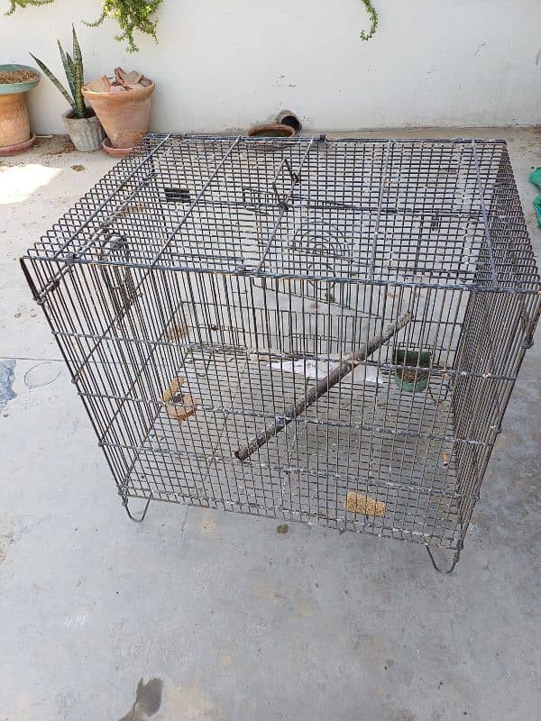 Cages For Sale kindly read full ad 0