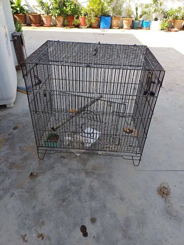 Cages For Sale kindly read full ad 2