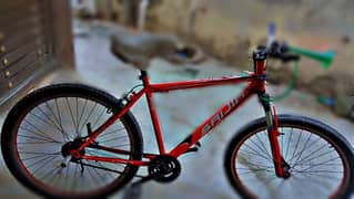 saigan bicycle red colour