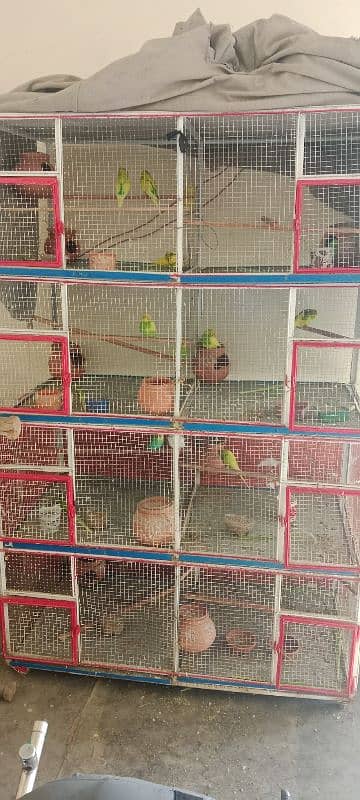 cage for sell ha buhat mazbut Bana Howa ha 0