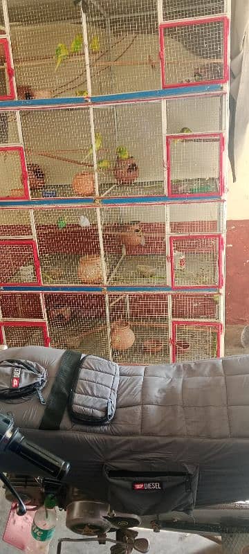 cage for sell ha buhat mazbut Bana Howa ha 4