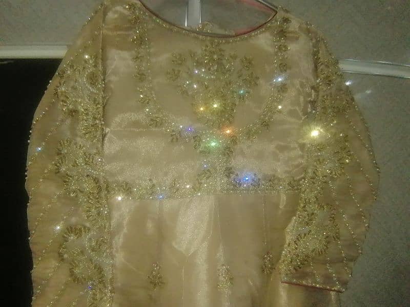 Golden Maroon combo sharara 9