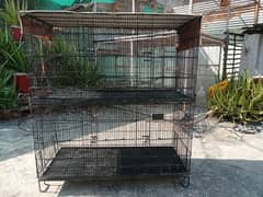 6 portion cage