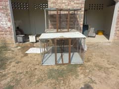 STURDY HEN CAGE FOR SALE | ALUMINIUM & IRON BUILD