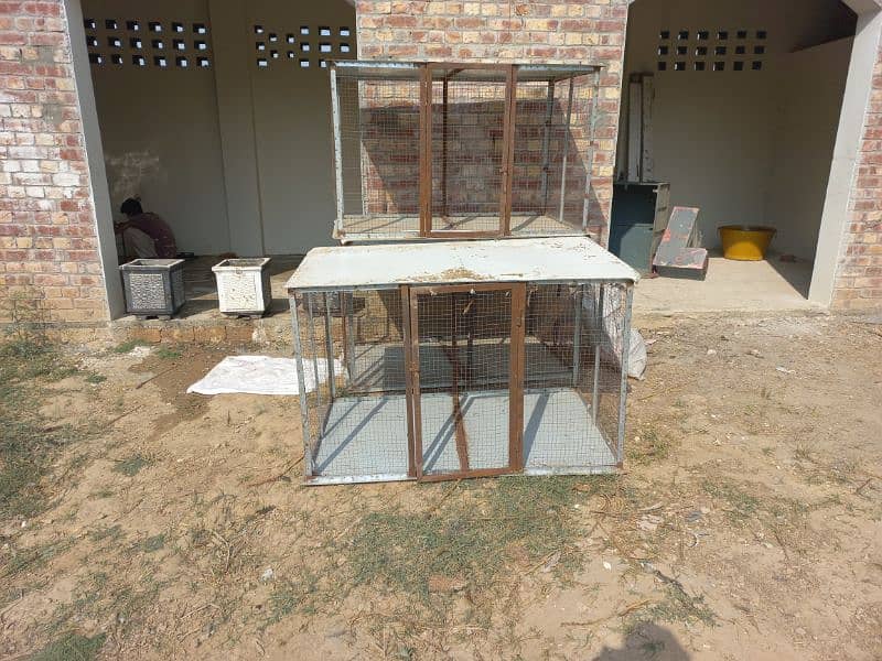 STURDY HEN CAGE FOR SALE | ALUMINIUM & IRON BUILD 0