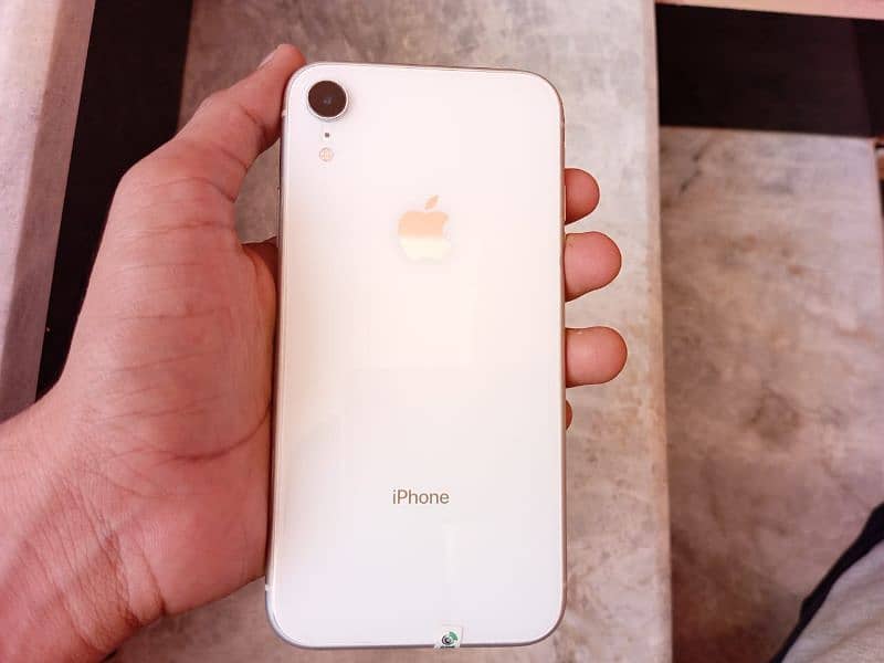 iphone XR 1