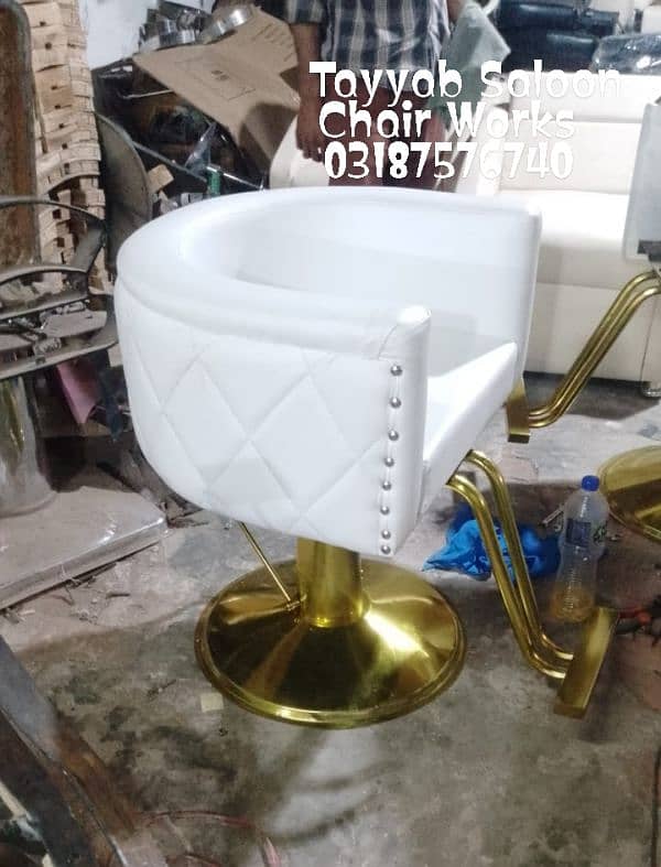 Saloon Chair/Parlour Chair/Shampoo Unit/Pedicure/Manicure/Salon Chair 4