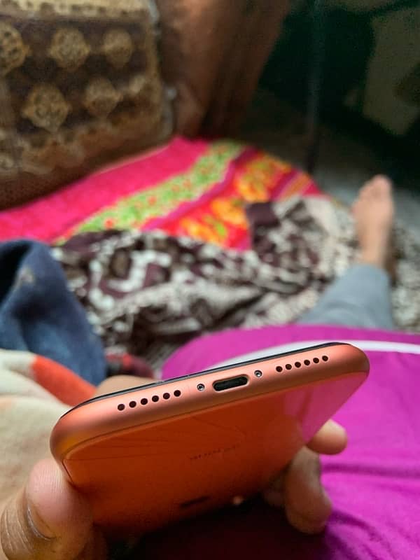 iphone xr 64gb pta aproved gx pnl 81 health face id true tone ok 6