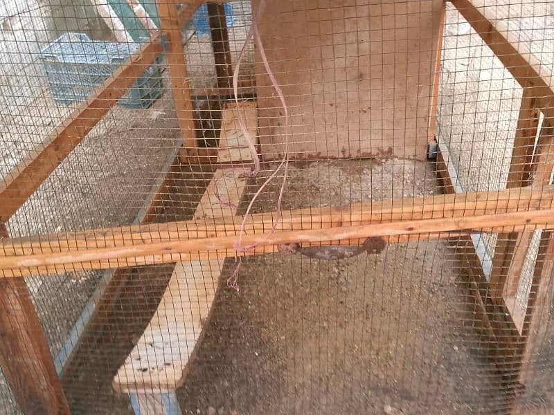 Wooden Hen Cage. . v. good condition. 3