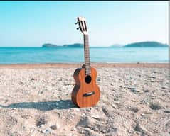 Ukulele Classes | Online or Physical |