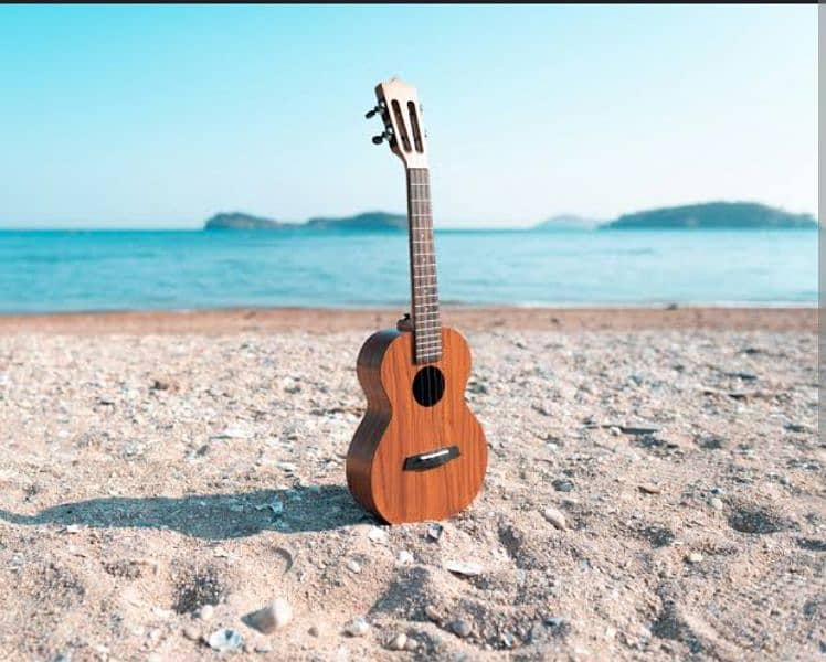 Ukulele Classes | Online or Physical | 0