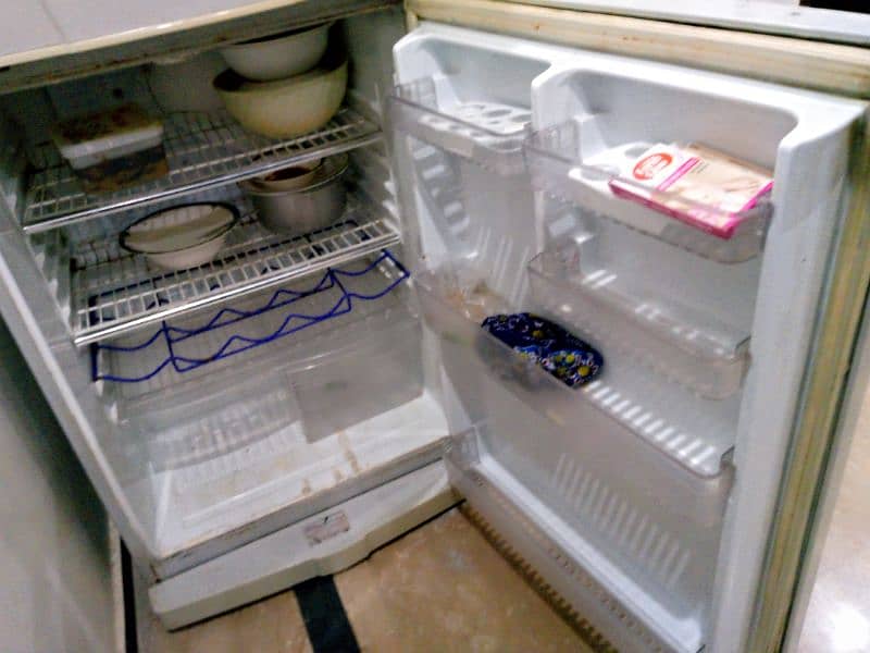 fridge 3