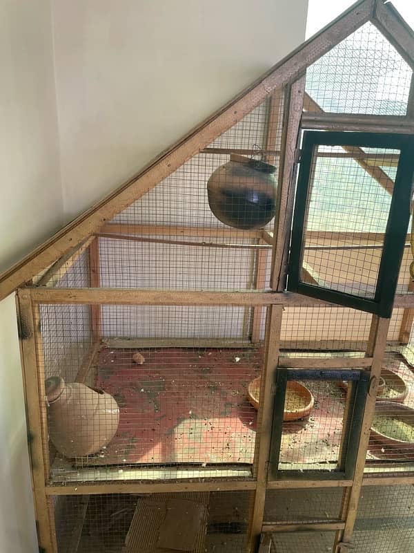 parrot cage 2