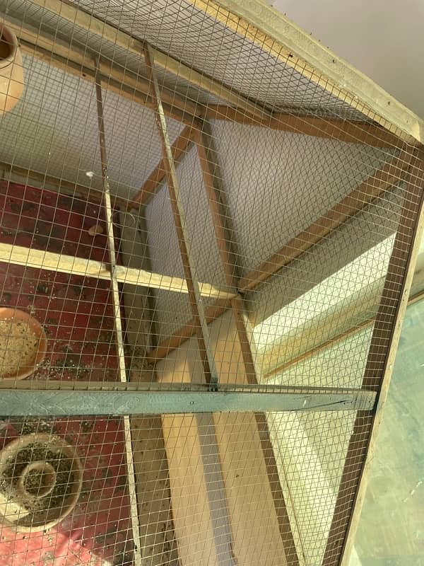 parrot cage 3