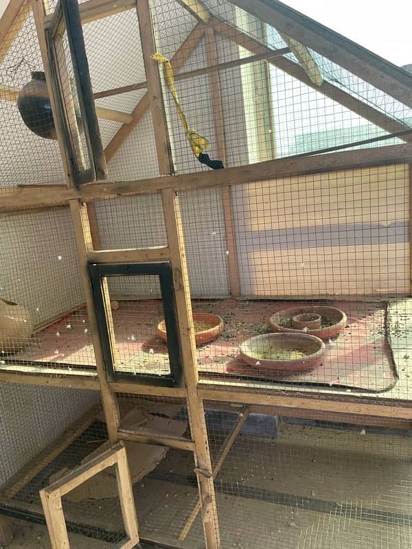 parrot cage 4