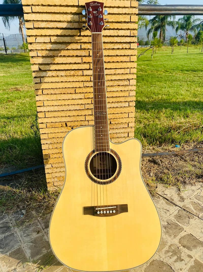 Briline Original Acoustic Guitar professhional 2