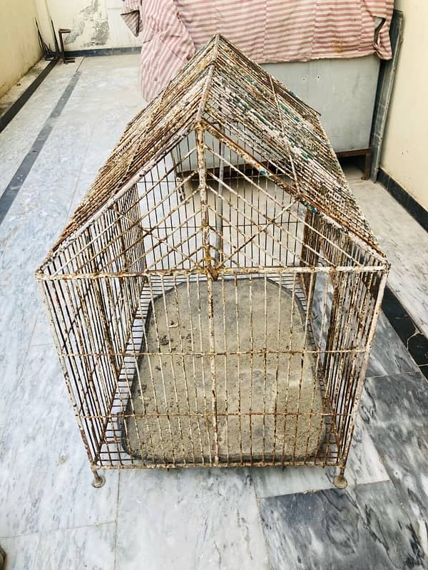 cage for sale 1