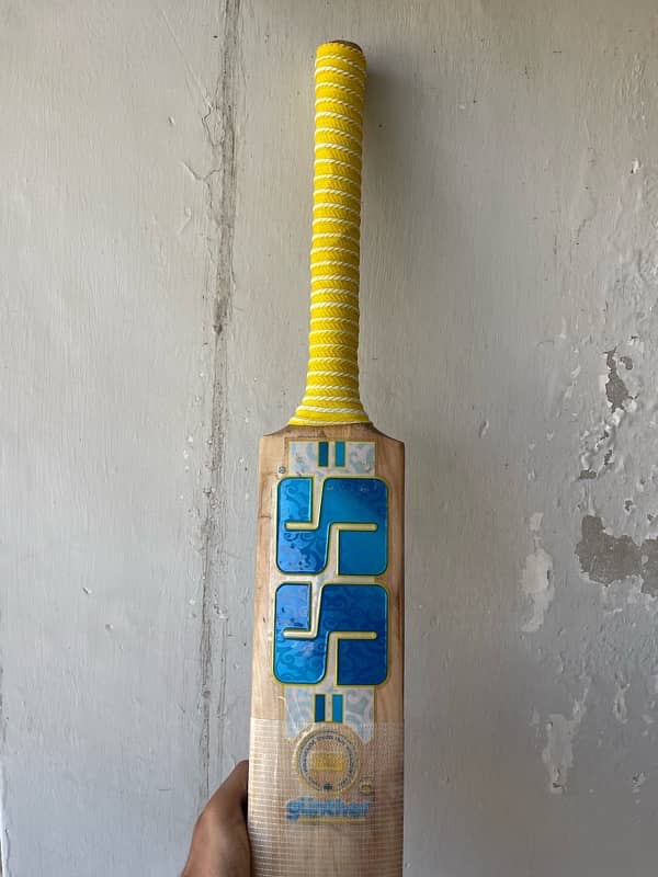 cricket bat. 1