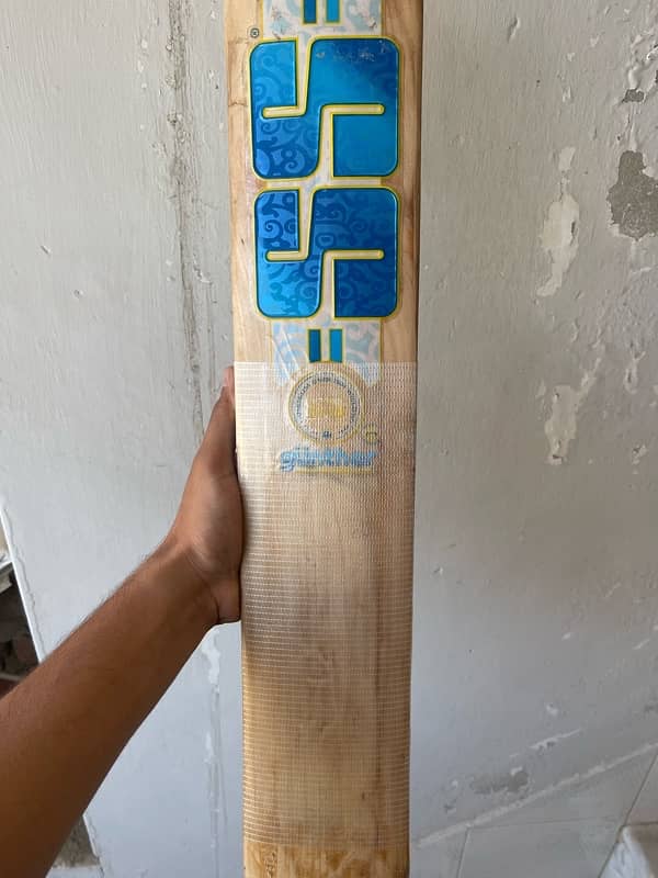 cricket bat. 2