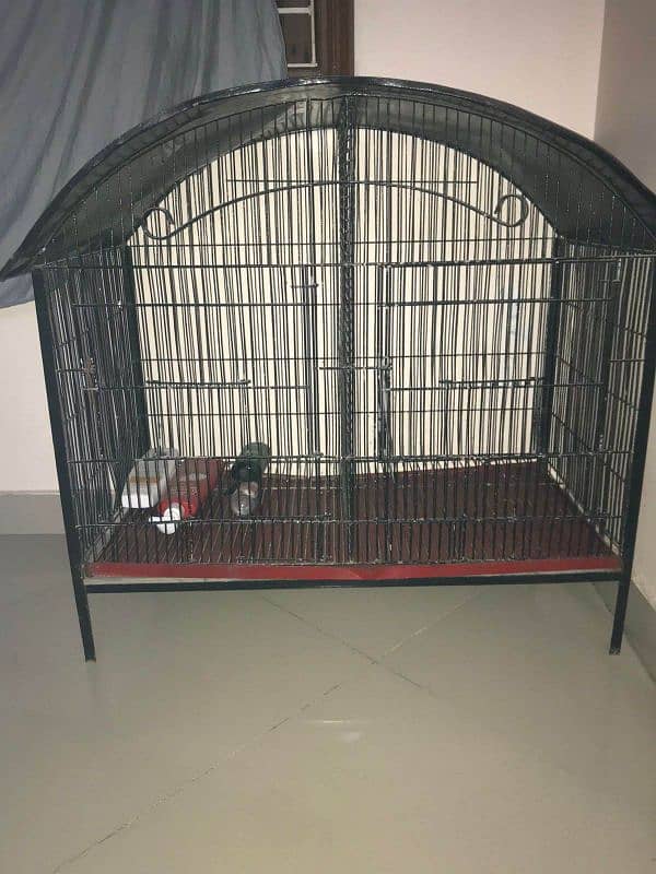 Cage Sale 1