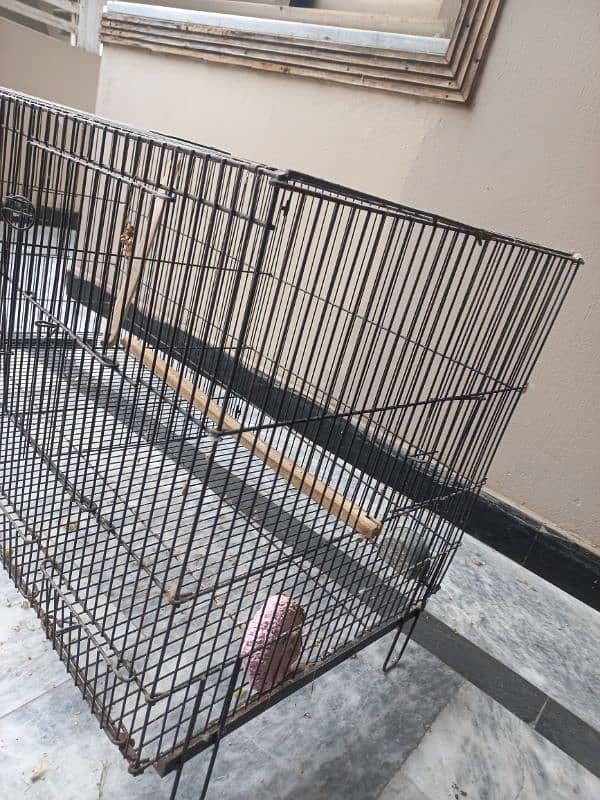 cage for sale 0