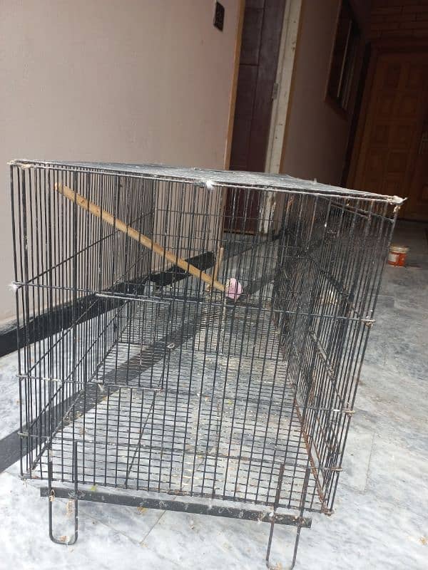 cage for sale 2