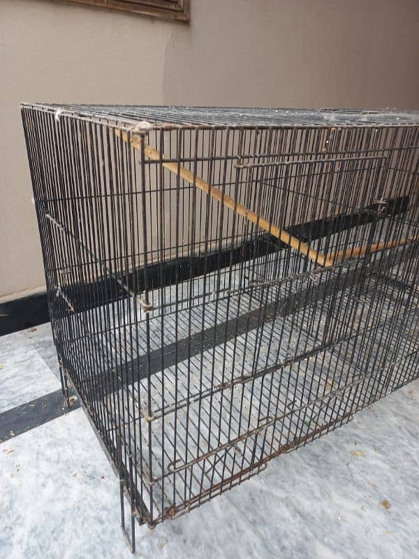 cage for sale 3