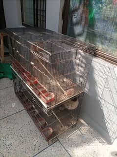 bird cage for sell