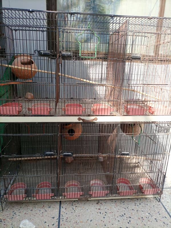 bird cage for sell 2