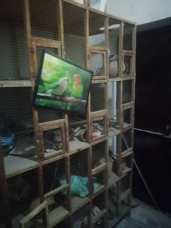 cage for sale 12 portion hai cage k 1