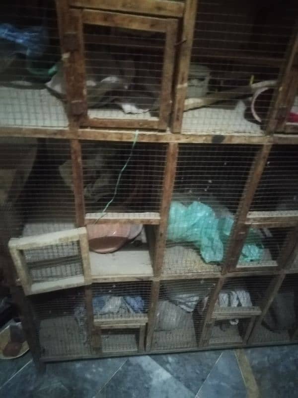 cage for sale 12 portion hai cage k 6