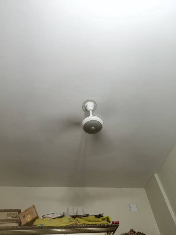 56" ceiling fan 0