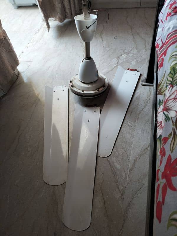 ceiling fan available for sale 2