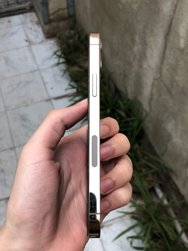 iPhone 12 Pro PTA APPROVED 3