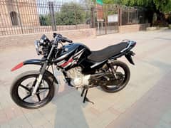 YAMAHA YBR LUSH CONDITION/03307987830