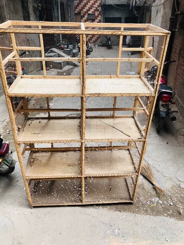 birds cage 1