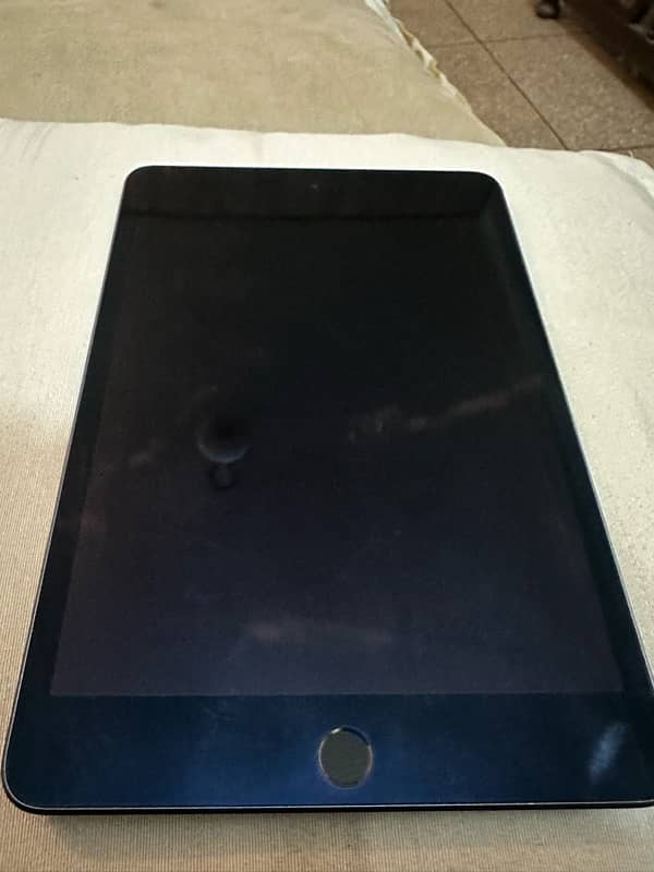 ipad mini 5 256GB 8