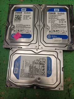 we hard drive 250gb