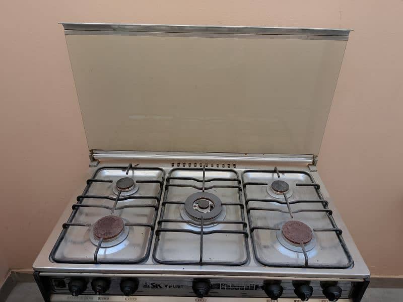 Skyline Stove In Good Condition 1