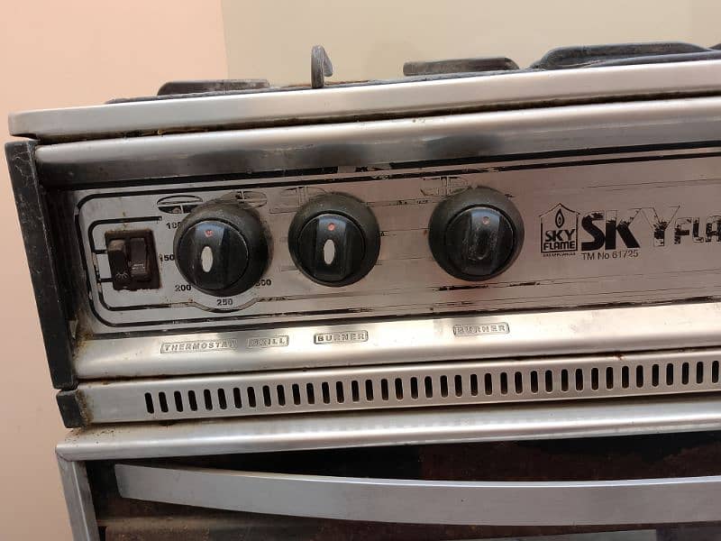 Skyline Stove In Good Condition 9