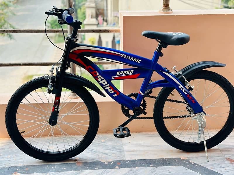 Caspian bicycle 20 size 03260456960 1