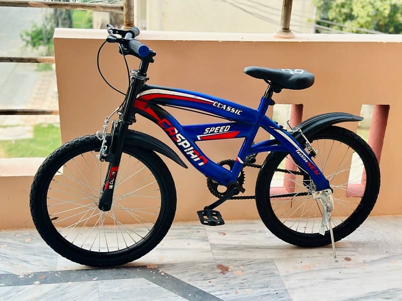 Caspian bicycle 20 size 03260456960 6