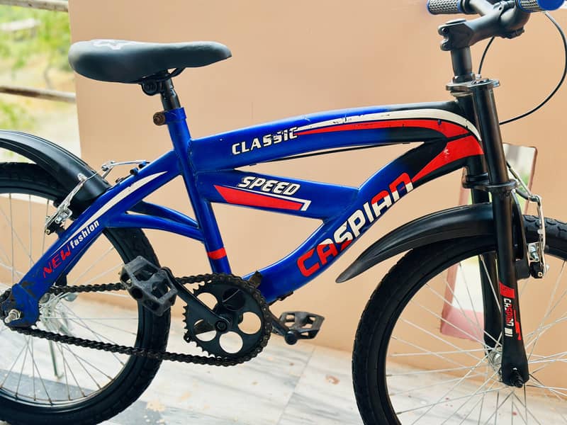 Caspian bicycle 20 size 03260456960 7