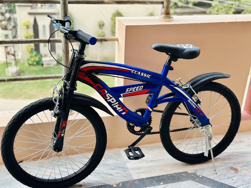 Caspian bicycle 20 size 03260456960 9