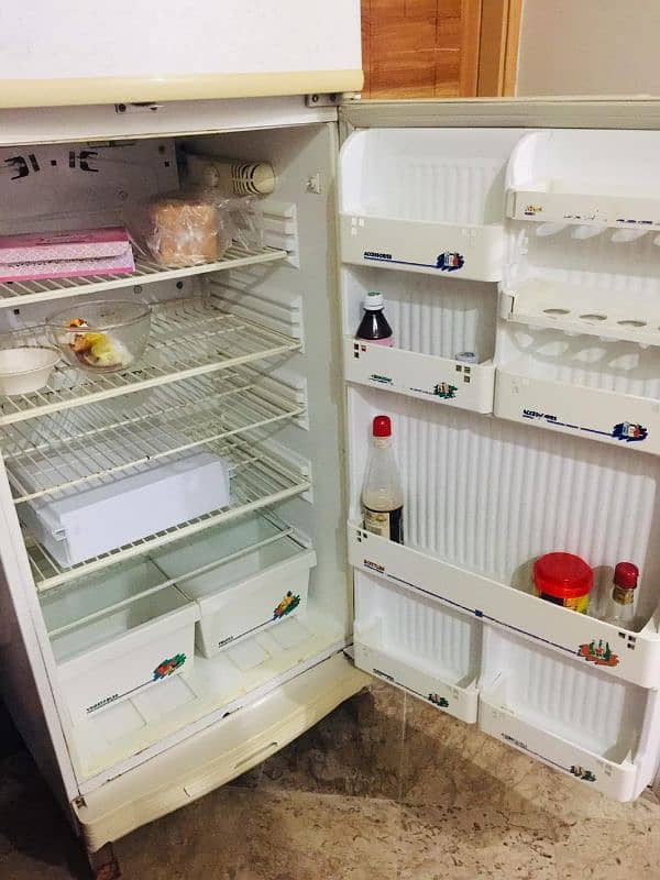 Pel fridge for sale 1