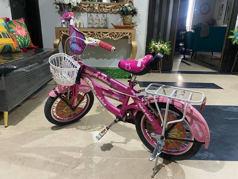 Girls Cycle (Barbie Theme) 1