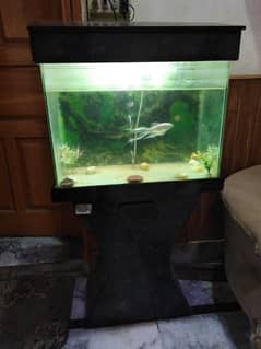 Aquarium for sale