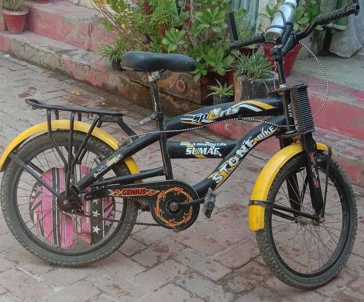 Bicycle Like New Condition (03428936689) 2