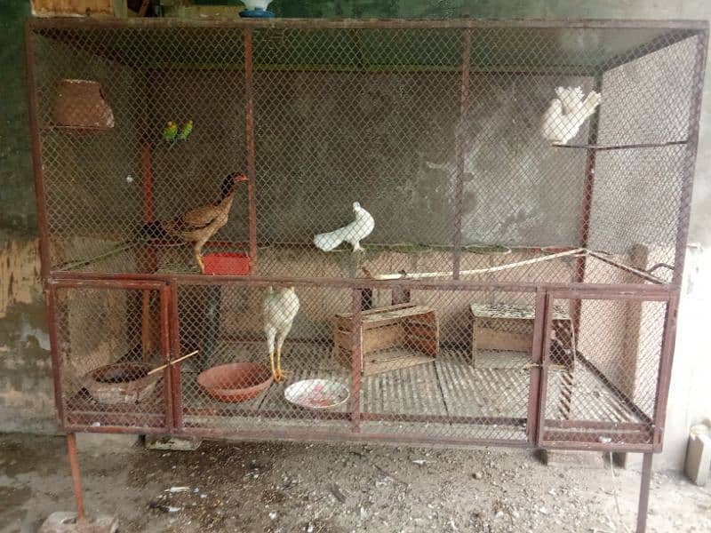 Birds Breeding Cage 0