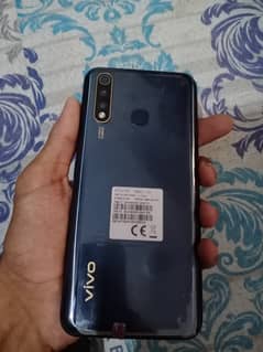 Vivo